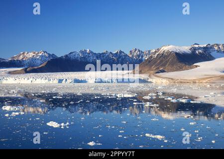 Der Gletscher Lilliehöökbreen zieht sich im Sommer in den Lilliehöök Fjord / Lilliehöökfjorden, Zweig von Krossfjorden in Albert I Land, Spitsbergen / Svalbard Stockfoto