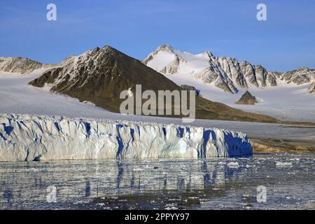 Der Gletscher Lilliehöökbreen zieht sich im Sommer in den Lilliehöök Fjord / Lilliehöökfjorden, Zweig von Krossfjorden in Albert I Land, Spitsbergen / Svalbard Stockfoto