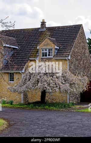 Landschaft des Dorfes Nunney an einem sonnigen Tag, Somerset, England, Großbritannien - 8. April 2023 Stockfoto