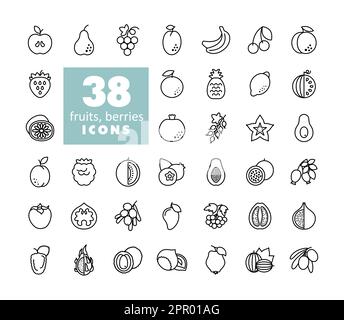 Ein Satz Obst- und Beerensymbole Stock Vektor