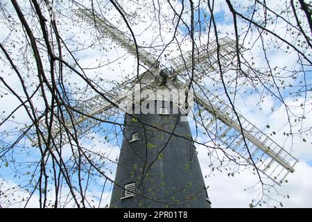 Croydon, London, Großbritannien. 25. April 2023 Die geheime Shirley Windmill in Croydon wird erstmals seit 3 Jahren für Besucher geöffnet. In einer ruhigen Sackgasse im Süden Londons befindet sich eine 170 Jahre alte Windmühle Shirley Windmill. Versteckt an der Upper Shirley Road in Croydon, in der Mitte von Postmill Close das berühmte Bauwerk ist leicht zu übersehen. Shirley Windmill ist ein verstecktes Juwel in Croydon und richtet dieses Jahr sieben Tage der offenen Tür aus. Der nächste Tag der offenen Tür ist am 14. Mai, gefolgt von sechs im Sommer, der letzte am 1. Oktober 2023. Kredit: Waldemar Sikora/Alamy Live News. Stockfoto