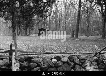 An einem bedeckten Frühlingstag im Minuteman National Historic Park befindet sich auf einer verlassenen Weide an der Battle Road ein altes Holzschuppen. Lexington, Massachus Stockfoto