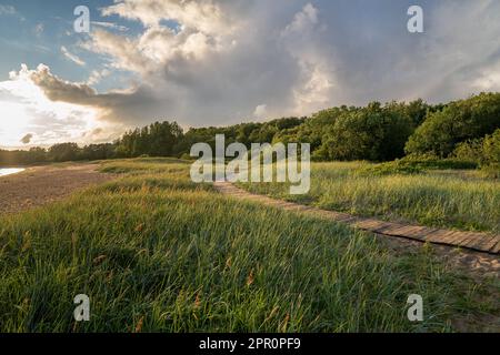 Ländliche Sommerlandschaft mit Grünfeld, Pfad und See bei Sonnenuntergang Stockfoto