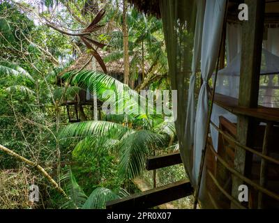 Glamouröse Unterkunft im Regenwald des Amazonas. Holzhaus, Amazonas-Regenwald, Amazonien, Pacaya Samiria National Reserve, Peru, Südamerika. Stockfoto