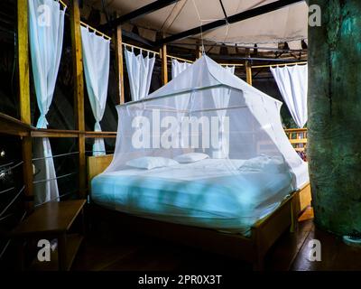 Riesiges Bett mit weißem Moskitonetz. Glamouröse Unterkunft im Regenwald des Amazonas. Holzhaus, Amazonas Regenwald, Amazonien, Pacaya Samiria Nati Stockfoto
