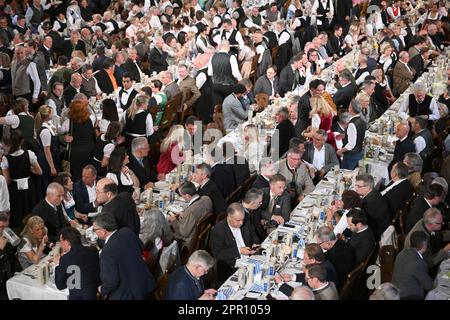 München, Deutschland. 25. April 2023. Die Gäste feiern das Anzapfen des Maibock im Hofbräuhaus. Kredit: Felix Hörhager/dpa/Alamy Live News Stockfoto