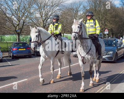 Ein Paar von Mounted Metropolitan Police in Kensington Gardens, London, Großbritannien. Stockfoto