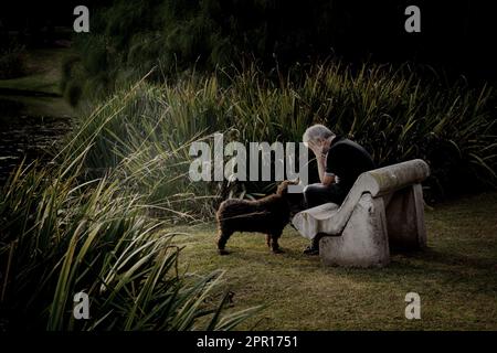 Deprimierter Mann auf einer Bank mit seinem Hund. Der Begriff der Einsamkeit im Alter. Stockfoto