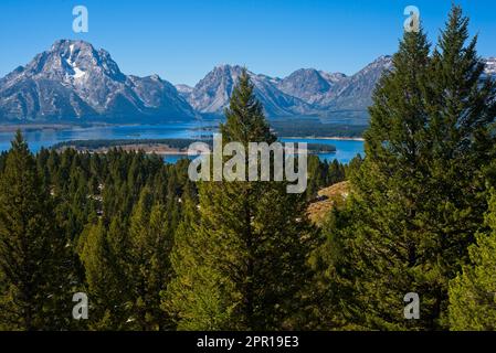 Die Grand Teton Range mit Mt. Moran auf der linken Seite erhebt sich steil über dem Jackson Lake, von einem Aussichtspunkt auf Signal Mountain aus gesehen. Stockfoto