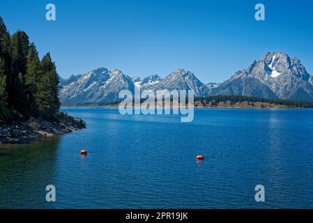 Die Grand Tetons erheben sich an klaren Tagen über dem Jackson Lake im Grand Teton National Park. Stockfoto