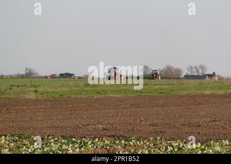 Traktoren auf einem Feld, das aus der Entfernung sichtbar ist Stockfoto