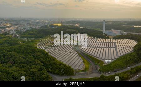 Luftaufnahme: Sonnenlicht über den Sonnenkollektoren am Stadtrand Stockfoto