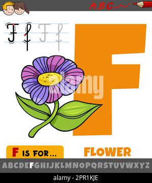 Buchstabe F aus dem Alphabet mit Blumenwort Stock Vektor