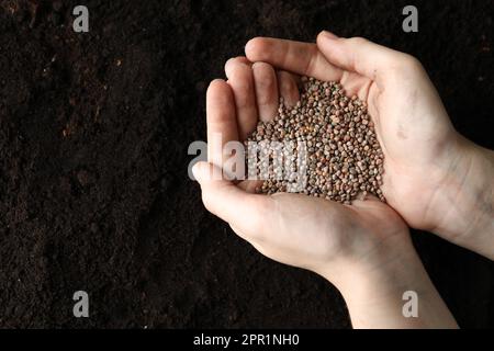 Frau hält einen Haufen Rettichsamen über dem Boden, Draufsicht mit Platz für Text. Gemüsepflanzen Stockfoto