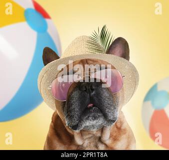 Süßer Hund mit Hut und Sonnenbrille auf farbigem Hintergrund. Sommerparty Stockfoto