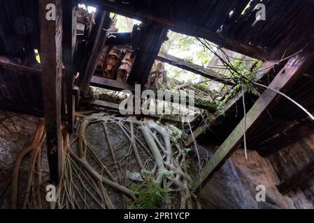 Indoor-Szene des verlassenen und verfallenen Kolonialgebäudes. Stockfoto