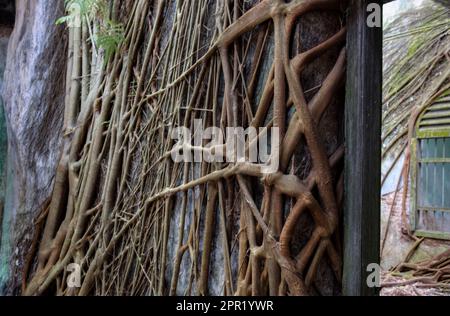 Indoor-Szene des verlassenen und verfallenen Kolonialgebäudes. Stockfoto