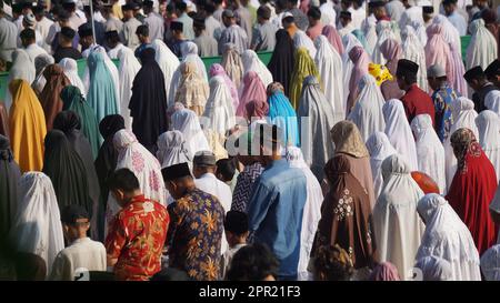 Moslems im Feld beten Idul Fitri am Morgen Stockfoto