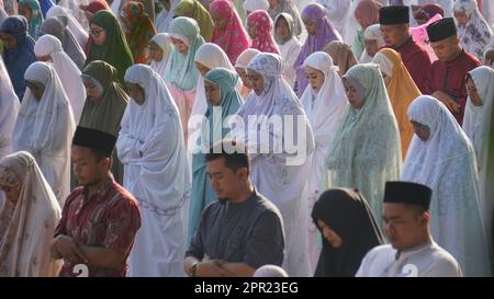 Moslems im Feld beten Idul Fitri am Morgen. Stockfoto