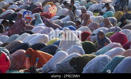 Moslems im Feld beten Idul Fitri am Morgen. Stockfoto