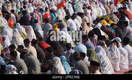 Moslems im Feld beten Idul Fitri am Morgen. Stockfoto