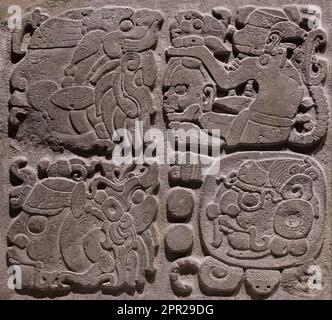 Nahaufnahme des Alphabet-Hieroglyphe- oder Glyphe-Schreibsystems der maya aus Copan (Honduras), Tikal (Guatemala) und Chichen Itza, Palenque, Uxmal (Mexiko). Stockfoto