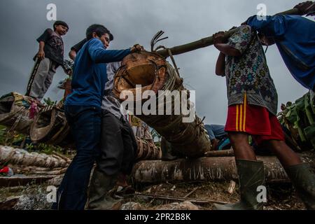 Die Bewohner von Cihanjawar Village, Bogor, West Java, Indonesien, stellten am 25. April 2023 für das Kulturfestival Kanonen aus Randu-Bäumen her Stockfoto