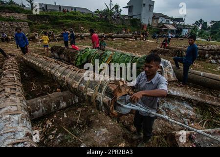 Die Bewohner von Cihanjawar Village, Bogor, West Java, Indonesien, stellten am 25. April 2023 für das Kulturfestival Kanonen aus Randu-Bäumen her Stockfoto