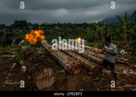 Die Bewohner von Cihanjawar Village, Bogor, West Java, Indonesien, stellten am 25. April 2023 für das Kulturfestival Kanonen aus Randu-Bäumen her Stockfoto