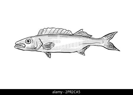 Zeichentrickstil Linienzeichnung eines Ölfischs Ruvettus pretiosus eine Art von Schlangenmakrele Fisch ist endemisch auf Hawaii und hawaiianische Inselgruppe mit ha Stockfoto