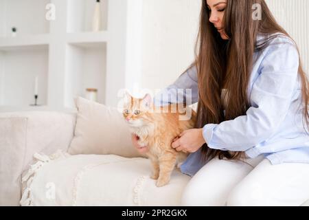 Junge schwangere Frau zu Hause mit ihrer roten Katze. Haustierbesitzer zu Hause, Stockfoto