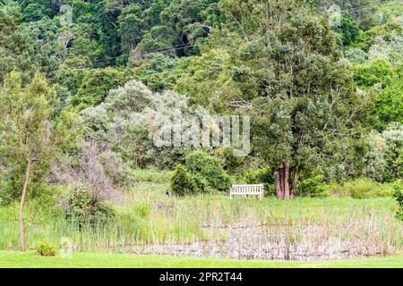 Leere Parkbank an einem Teich, umgeben von Schilf in einer Waldlandschaft mit üppigen grünen Bäumen im Sommer in der Landschaft von Kwazulu Natal, Südafrika Stockfoto
