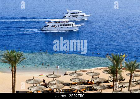 Top Blick auf einen Sandstrand mit Sonnenliegen und Sonnenschirmen und zwei großen weißen Schiffen, einem Boot, einem Kreuzfahrtschiff, das im Meer im Urlaub in einem Tropenboot schwimmt Stockfoto