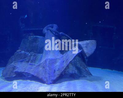 Anker unter dem Meer verschließen. Stockfoto