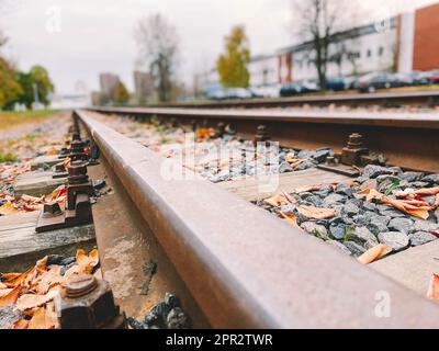 Alte, verlassene Eisenbahn. Steine und gelbliche Blätter auf den Metallschienen. Die Schienen sind mit starken Metallschrauben am Boden befestigt. Stockfoto