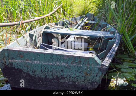 Altes, schäbiges, verfallenes, kaputtes Holzboot zum Schwimmen am Ufer des Flusses, des Sees, des Meeres im Gras und des Schilfes in der Natur. Stockfoto