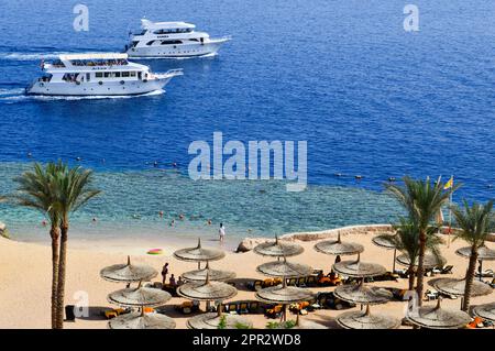 Top Blick auf einen Sandstrand mit Sonnenliegen und Sonnenschirmen und zwei großen weißen Schiffen, einem Boot, einem Kreuzfahrtschiff, das im Meer im Urlaub in einem Tropenboot schwimmt Stockfoto