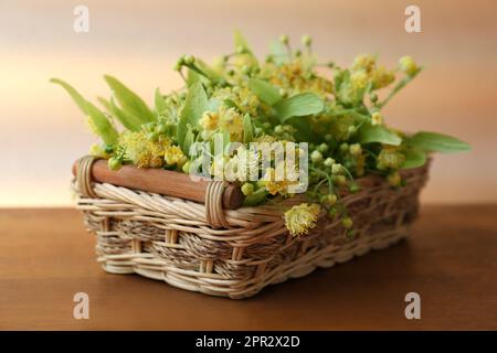 Wunderschöne Lindenblüten und grüne Blätter in Korb auf Holztisch, Nahaufnahme Stockfoto