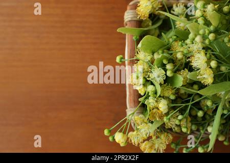 Wunderschöne Lindenblüten und grüne Blätter in Korb auf Holztisch, Draufsicht. Platz für Text Stockfoto