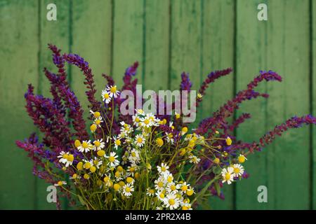 Wunderschöner Blumenstrauß mit Feldblumen in der Nähe einer grünen Holzwand, Nahaufnahme Stockfoto