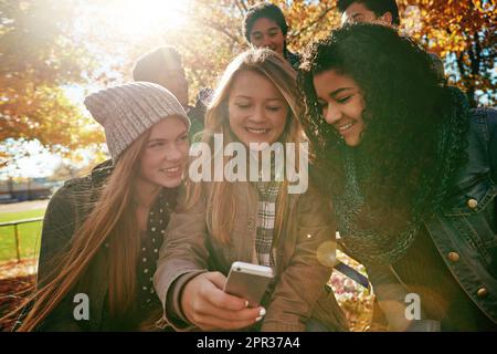 Technologie bringt Menschen auf mehr als eine Art näher. Eine Gruppe junger Freunde, die im Park zusammen ein Mobiltelefon benutzen. Stockfoto