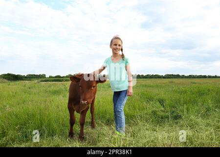 Süßes kleines Mädchen mit Kalb auf grünem Feld Stockfoto