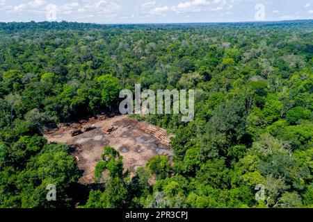 Luftaufnahme eines Holzlagerplatzes vom autorisierten Holzeinschlag in einem Gebiet des brasilianischen Amazonas-Regenwalds. Stockfoto