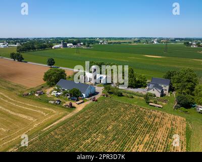 Eine Farm in Lancaster County, Pennsylvania, umgeben von üppigen grünen Feldern aus der Vogelperspektive. Stockfoto