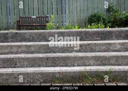 Satz von vier Zementstufen, die zu einer Holzbank führen, auf der Unkraut wächst Stockfoto