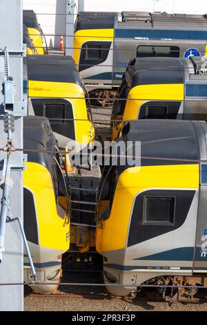 Elektrische S-Bahnen an Wellington Station, North Island, Neuseeland Stockfoto