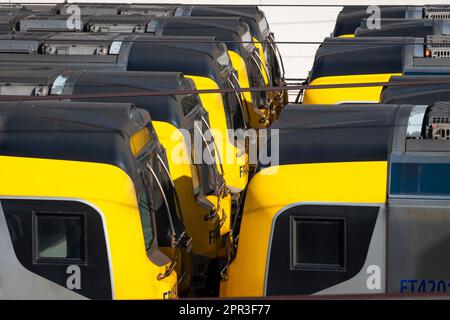 Elektrische S-Bahnen an Wellington Station, North Island, Neuseeland Stockfoto