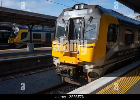 Elektrische S-Bahnen an Wellington Station, North Island, Neuseeland Stockfoto