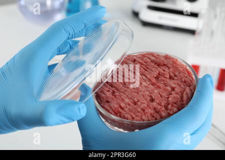 Wissenschaftler, der Petrischale mit rohem Hackfleisch im Labor hält, Nahaufnahme Stockfoto