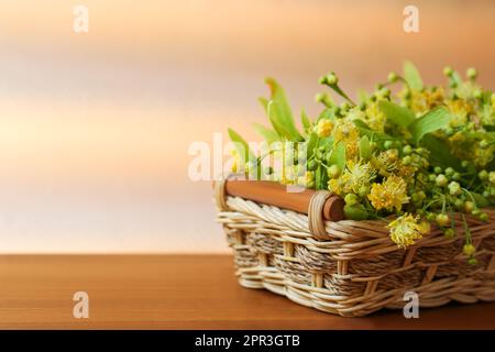 Wunderschöne Lindenblüten und grüne Blätter in Korb auf Holztisch, Platz für Text Stockfoto